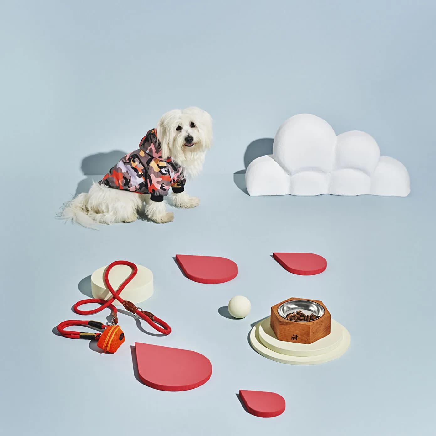 Karaca Home X Pati Barney Köpek Gezdirme Kayışı Kırmızı